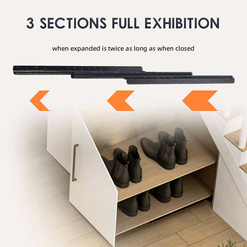 3 SECTIONS FULL EXHIBITION